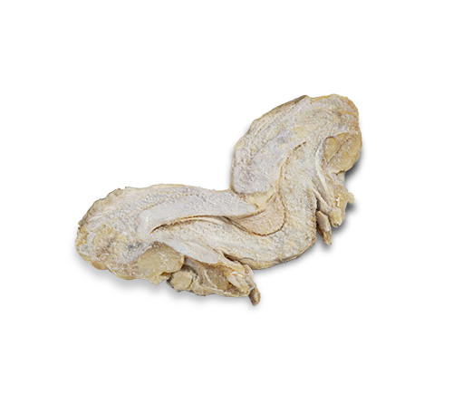 Caras de Bacalhau